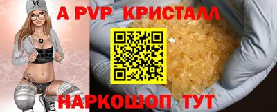 таблы Гусев