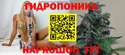 таблы Гусев