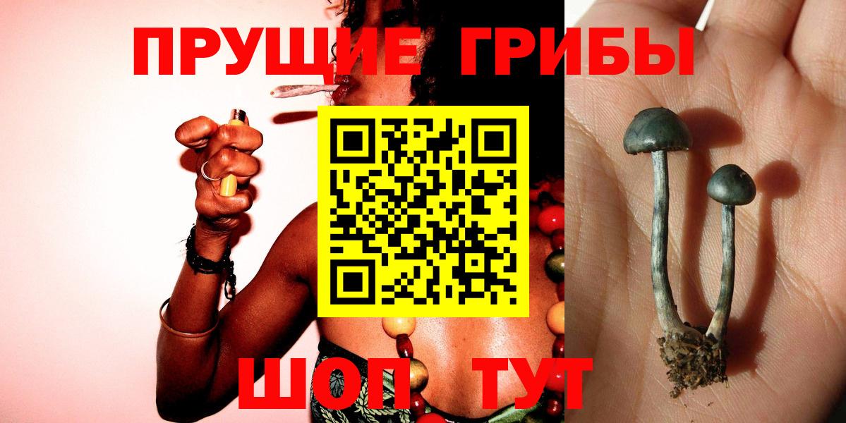Псилоцибиновые грибы прущие грибы  Вход с VPN  Дивногорск 